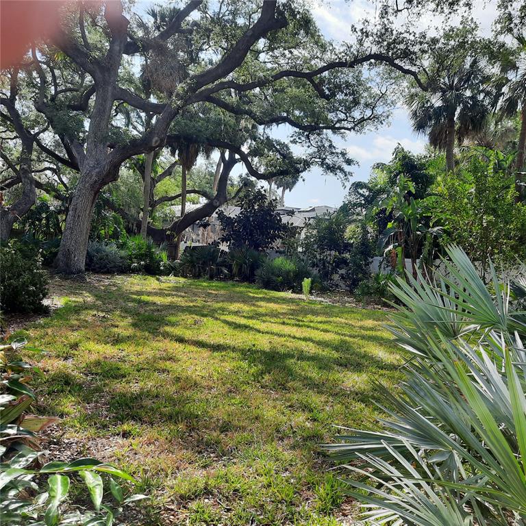 A grassy backyard features large mature trees and various tropical plants under a bright sky — 4806 W SAN JOSE STREET, TAMPA, FL