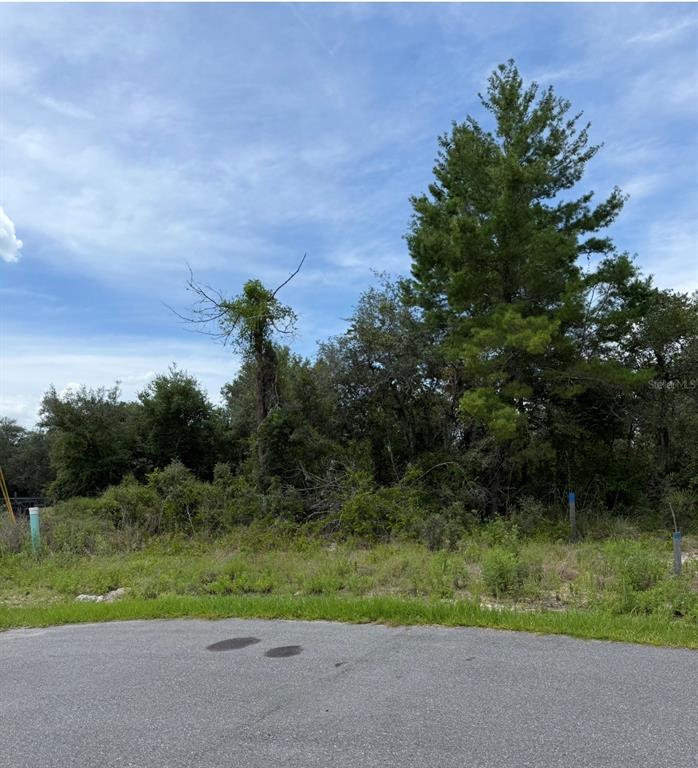 A vacant, wooded lot is viewed from the edge of a paved cul-de-sac — 1205 WAVERLY PLACE, KISSIMMEE, FL