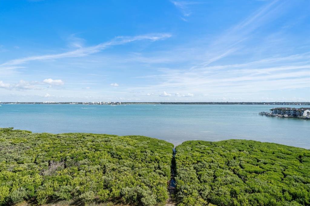 An aerial view shows a dense mangrove forest bordering a wide bay under a blue sky — 1501 GULF BOULEVARD UNIT 604, CLEARWATER BEACH, FL