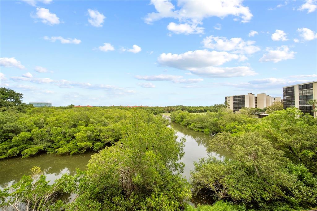 900 COVE CAY DRIVE UNIT 3E