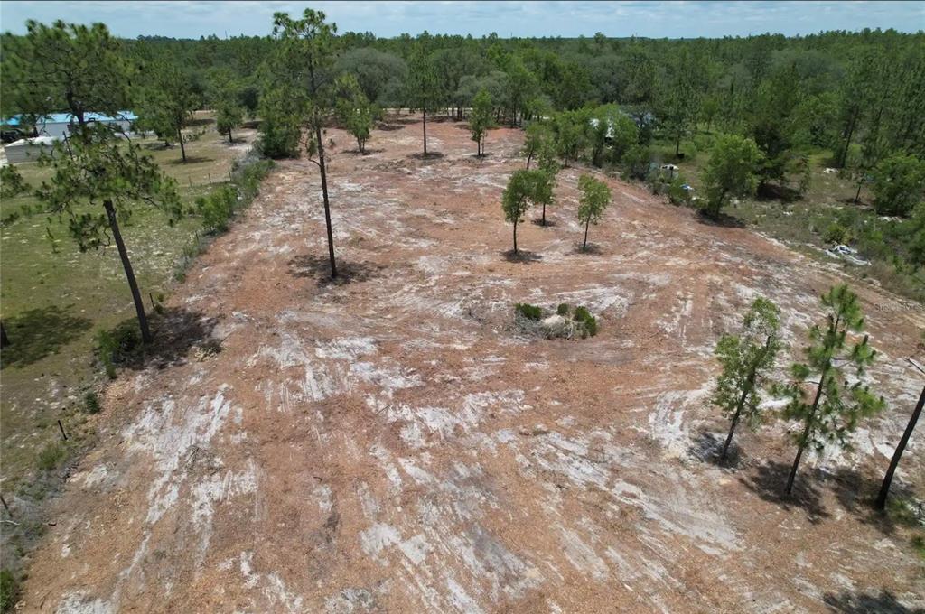 An aerial view of a cleared, sandy residential lot with scattered pine trees and vegetation — NE 56TH STREET, BRONSON, FL