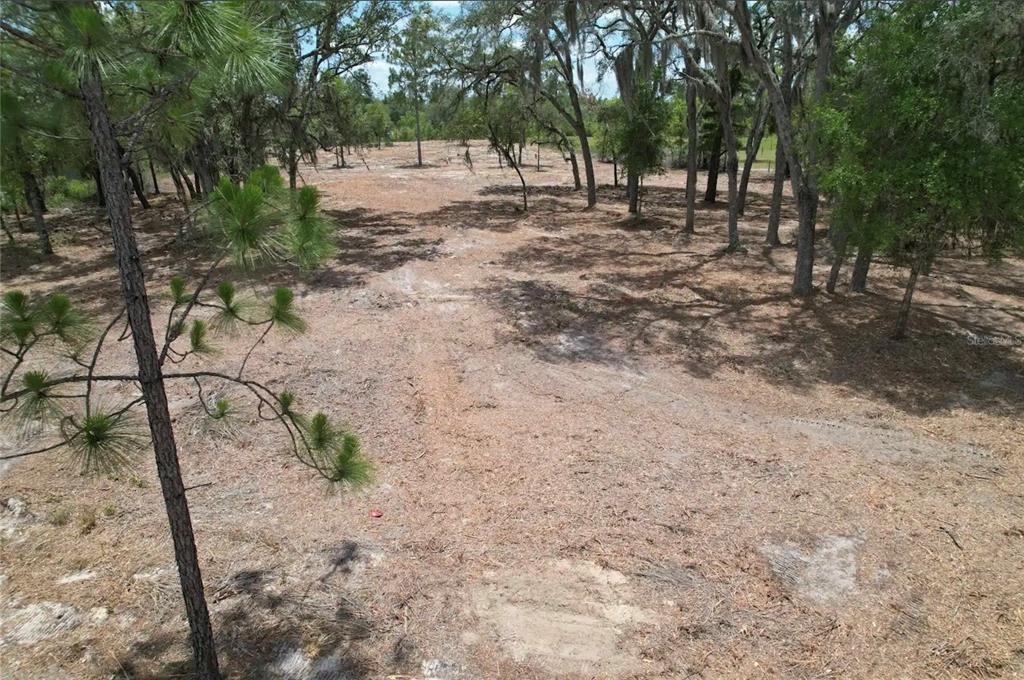 An elevated view of a cleared, sandy lot surrounded by pine and oak trees — NE 56TH STREET, BRONSON, FL