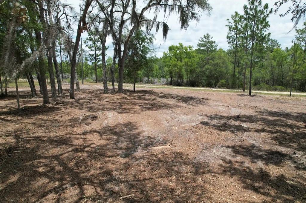 A cleared, wooded lot with scattered pine trees and sandy soil under a cloudy sky — NE 56TH STREET, BRONSON, FL