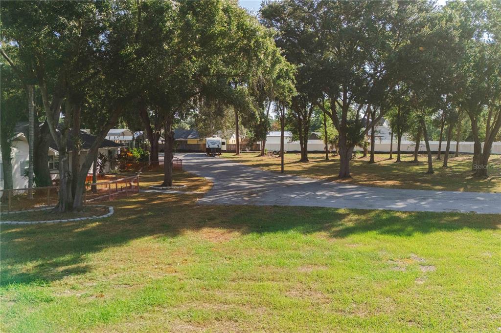 A large, grassy yard with mature trees and a paved driveway leading to a house — 15509 CASEY ROAD, TAMPA, FL