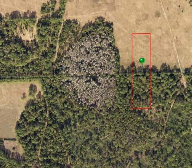 This aerial map shows a rectangular plot of land partially covered by trees and grass — NO ADDRESS, DELAND, FL