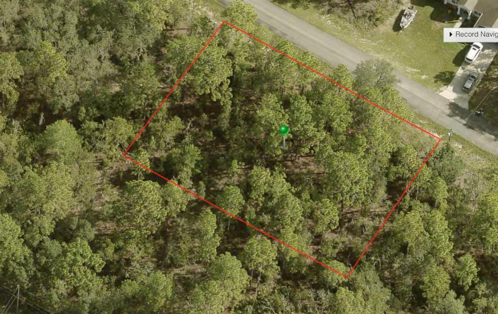 An aerial view shows a rectangular, wooded vacant lot outlined in red next to a road — 5644 N MATHESON DRIVE, CITRUS SPRINGS, FL