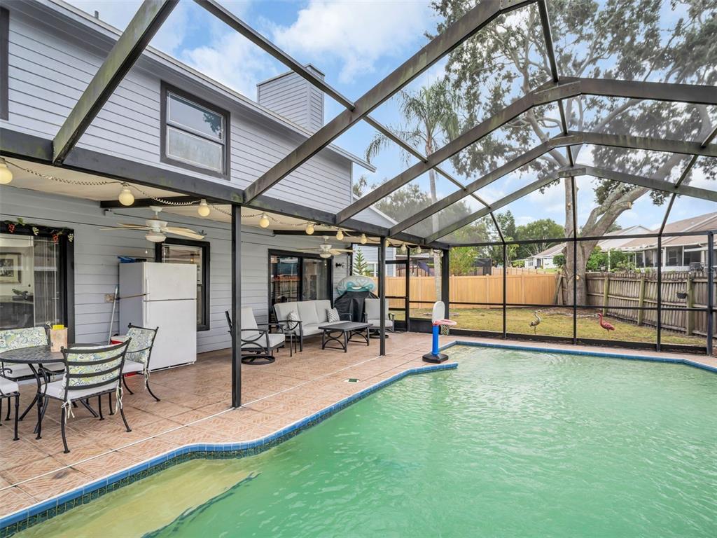 A screened-in patio features a swimming pool, outdoor furniture, and a white refrigerator — 3177 MONTROSE PLACE, PALM HARBOR, FL