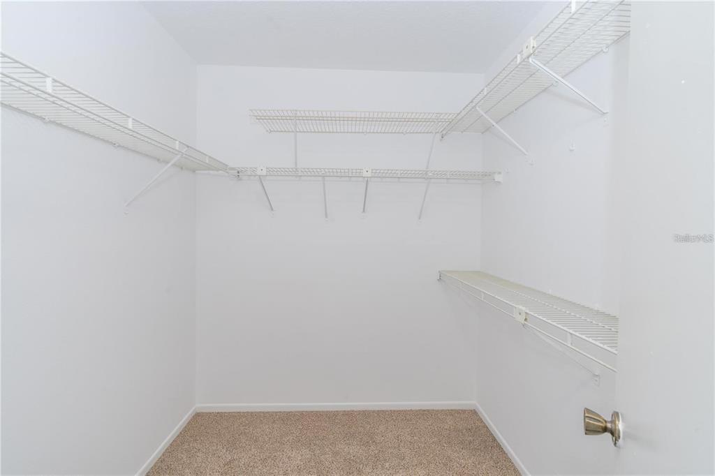 A walk-in closet with white walls, beige carpet, and white wire shelving — 660 HOLBROOK CIRCLE, LAKE MARY, FL