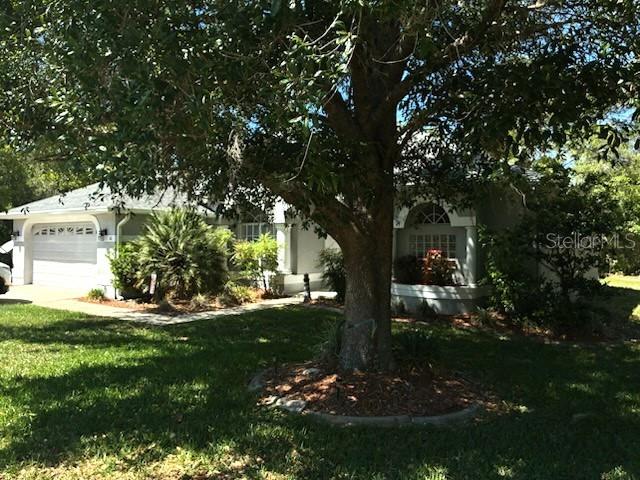 A single-story house with a garage and a large tree in the front yard — 66 LONE PINE STREET, HOMOSASSA, FL