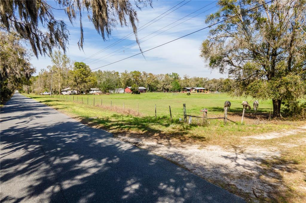 A rural road runs alongside a fenced pasture with grazing horses and distant farm buildings — TBD SW 298 STREET, NEWBERRY, FL