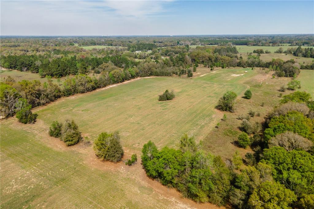 An aerial view shows a large, open grassy field surrounded by dense patches of trees — TBD SW 298 STREET, NEWBERRY, FL