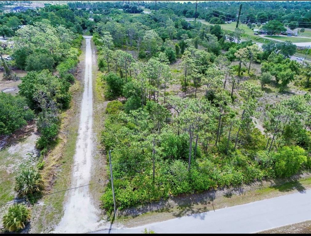 An aerial view of a vacant, wooded lot bordered by a dirt road and paved street — 29305 HAZELWOOD DRIVE, PUNTA GORDA, FL