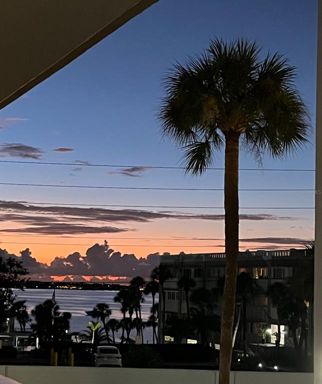 A palm tree stands before a sunset view of a body of water and buildings — 131 BLUFF VIEW DRIVE UNIT 109, BELLEAIR BLUFFS, FL