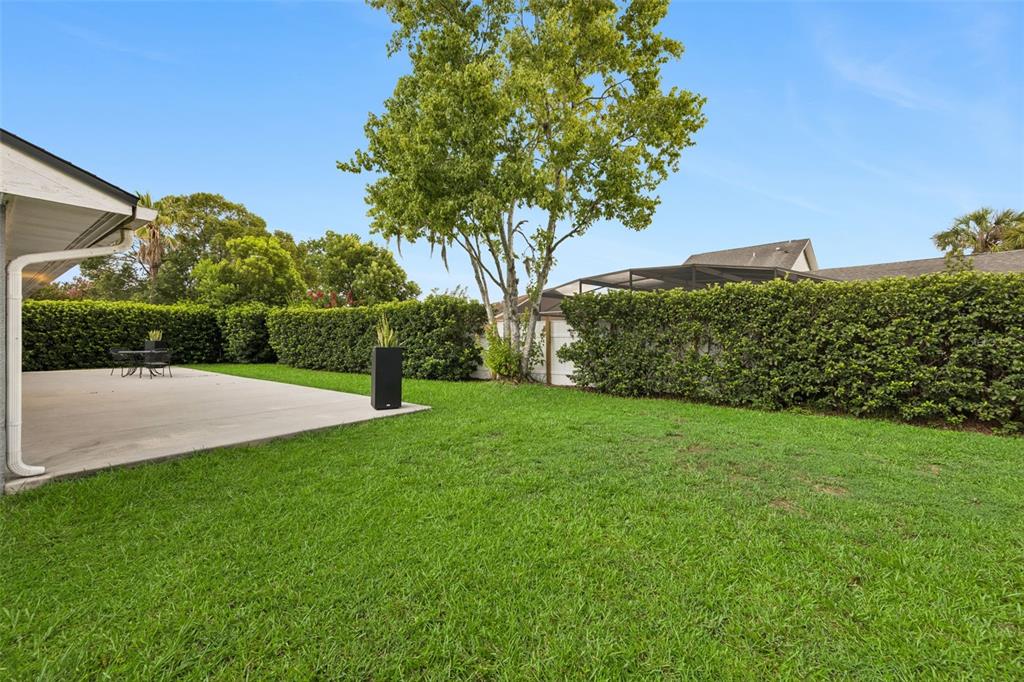 A concrete patio sits beside a grassy lawn enclosed by tall hedges and a tree — 2011 EXCALIBUR DRIVE, ORLANDO, FL