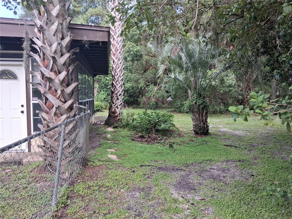 A side view of a house exterior featuring a chain-link fence and several palm trees — 1326 NW 14TH AVENUE, GAINESVILLE, FL
