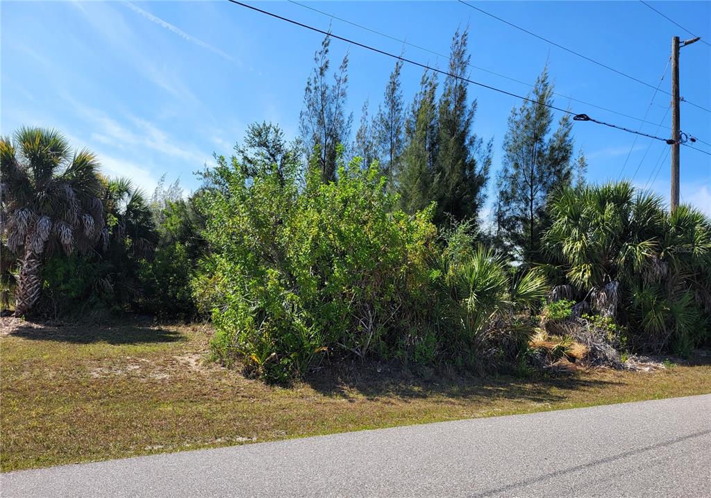 A vacant, wooded lot with palm trees and brush sits next to a paved road — 9598 SPRING CIRCLE, PORT CHARLOTTE, FL