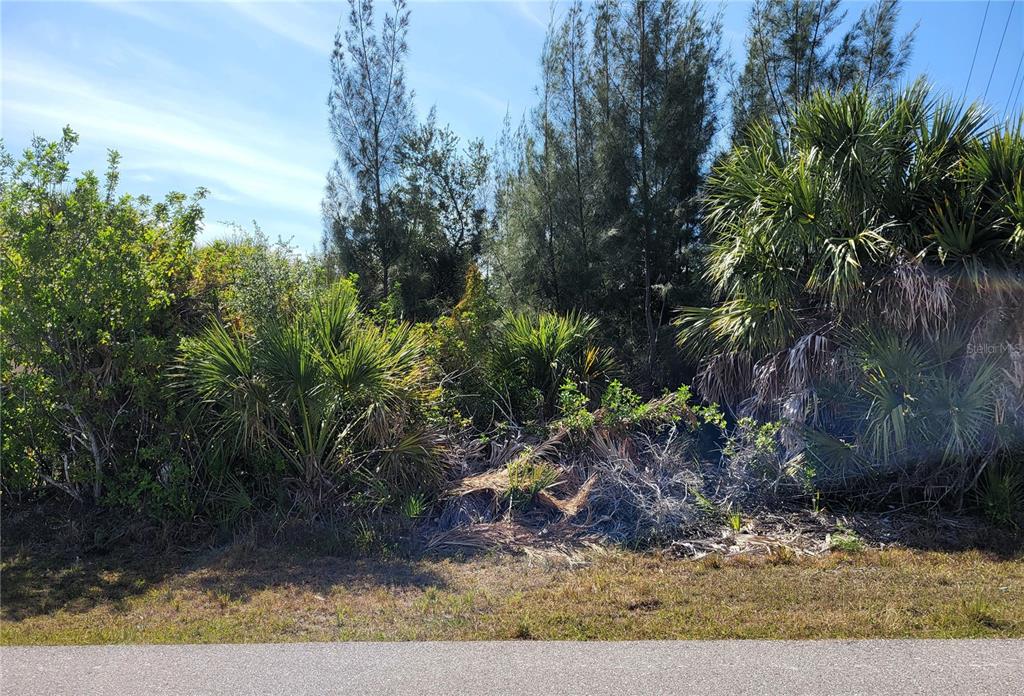 A vacant, overgrown lot with palm trees and dense vegetation borders a paved road — 9598 SPRING CIRCLE, PORT CHARLOTTE, FL