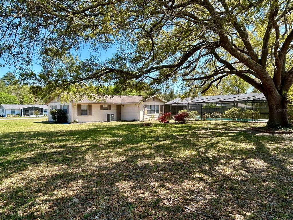 A single-story house with a screened pool enclosure sits under a large oak tree — 14152 SW 42ND TERRACE ROAD, OCALA, FL