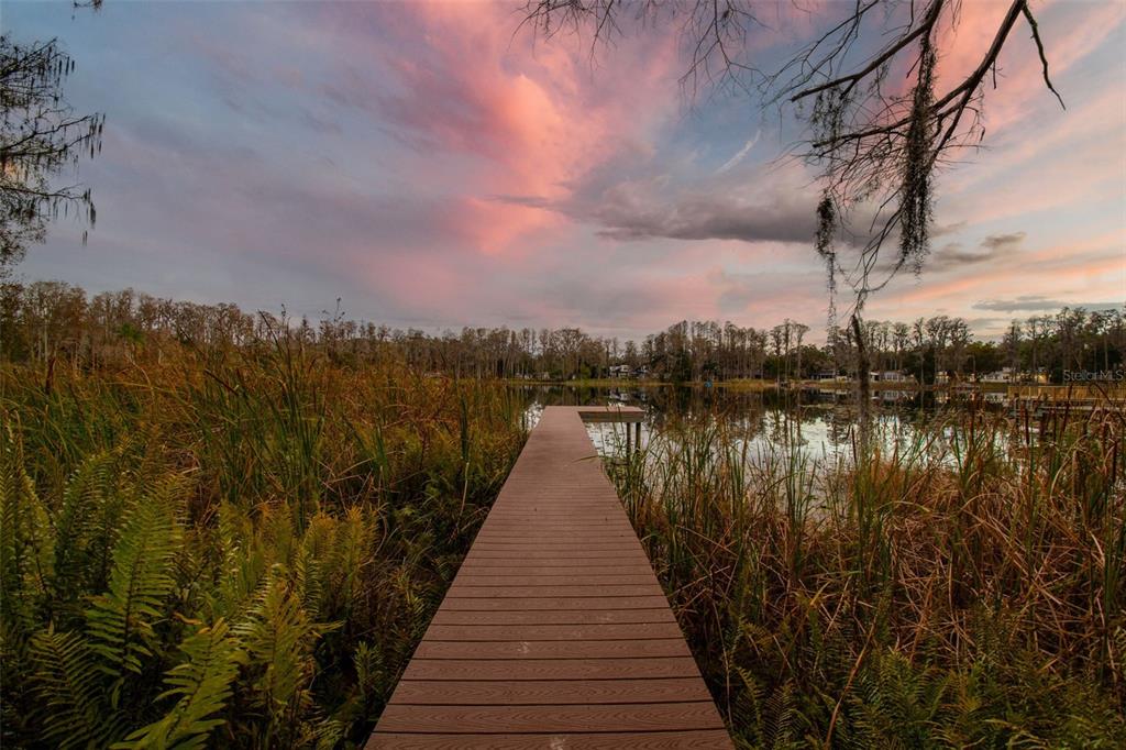 A wooden dock extends into a calm lake surrounded by tall grasses and trees at sunset — 3812 LITTLE ROAD, LUTZ, FL
