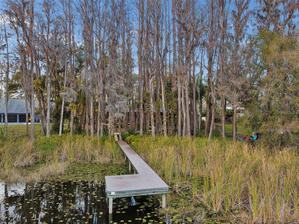 A wooden dock extends into a pond surrounded by tall trees and marsh grass — 3812 LITTLE ROAD, LUTZ, FL