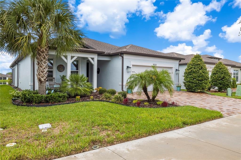 A single-story house with a paved driveway, palm trees, and a landscaped front yard — 19722 SEA GLASS CIRCLE, LAND O LAKES, FL