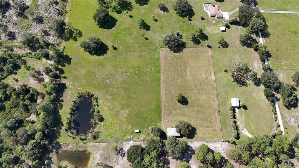 20271 SE 81ST TERRACE, INGLIS, FL — photo 4 of 9