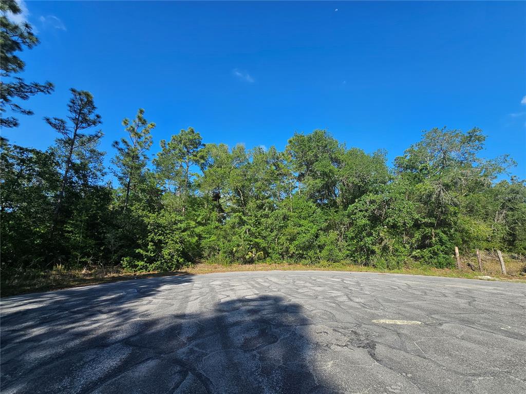 A paved cul-de-sac borders a dense, wooded lot under a clear blue sky — 13431 FLAGSTAFF DRIVE, BROOKSVILLE, FL