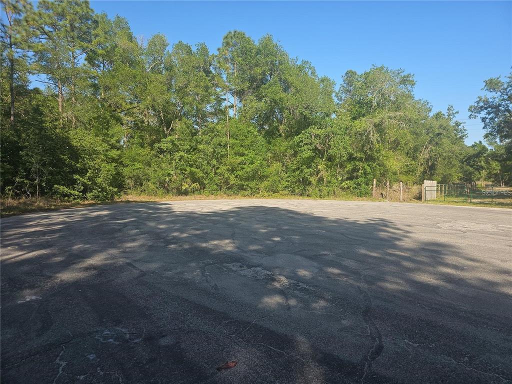 A paved cul-de-sac sits in front of a dense line of trees — 13431 FLAGSTAFF DRIVE, BROOKSVILLE, FL