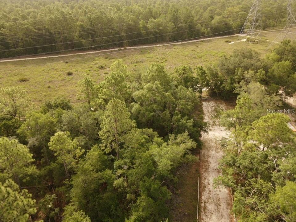 An aerial view shows a sandy path leading into a wooded lot with power lines — 13431 FLAGSTAFF DRIVE, BROOKSVILLE, FL