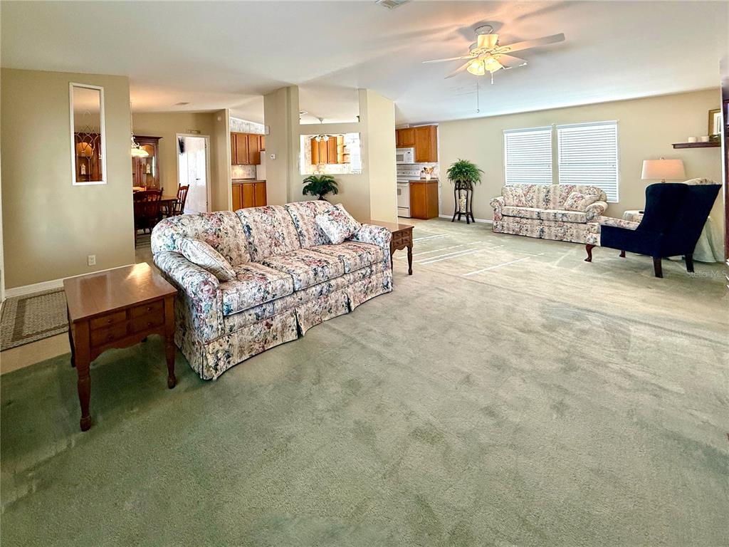 A spacious living room features floral sofas, a dark blue armchair, and green wall-to-wall carpeting — 250 S PORT ROYAL LANE, APOLLO BEACH, FL