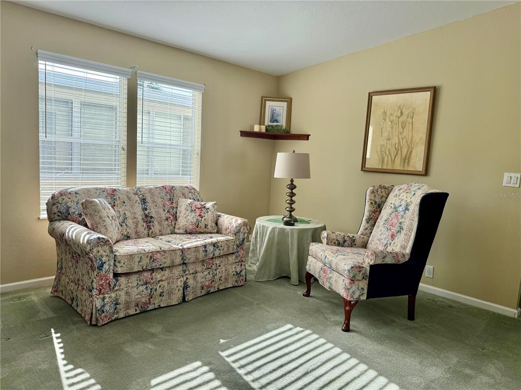 A living room features a floral sofa, a matching armchair, and green wall-to-wall carpeting — 250 S PORT ROYAL LANE, APOLLO BEACH, FL