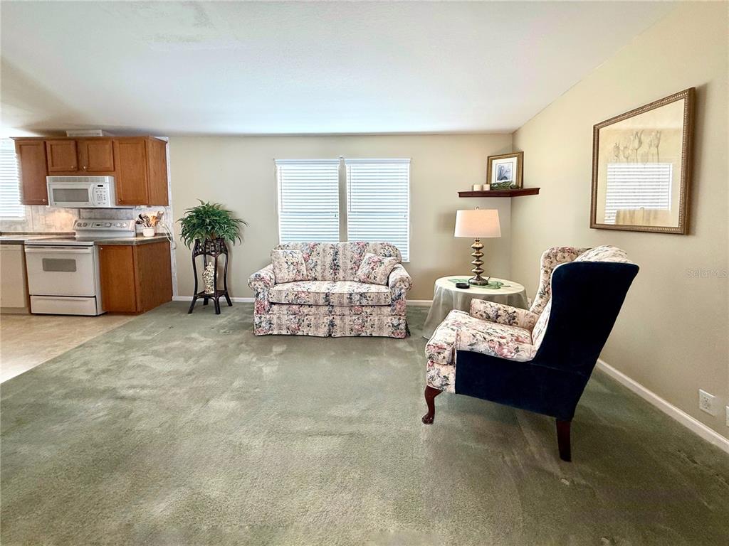 A living room with green carpet, a floral loveseat, an armchair, and an adjacent kitchen — 250 S PORT ROYAL LANE, APOLLO BEACH, FL