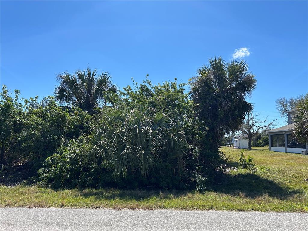 A grassy lot features dense clusters of palm trees and shrubs under a clear blue sky — 13409 GALVESTON AVENUE, PORT CHARLOTTE, FL