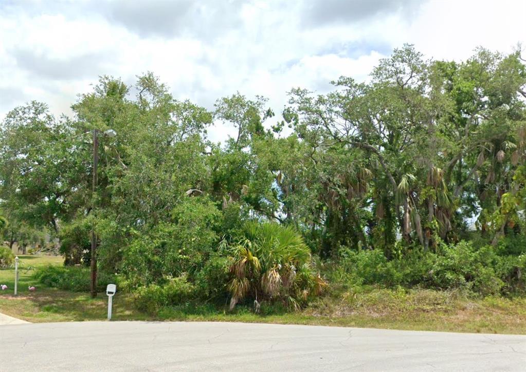 A wooded lot with dense trees and vegetation sits behind a paved residential street — 104 REBEL COURT, ROTONDA WEST, FL