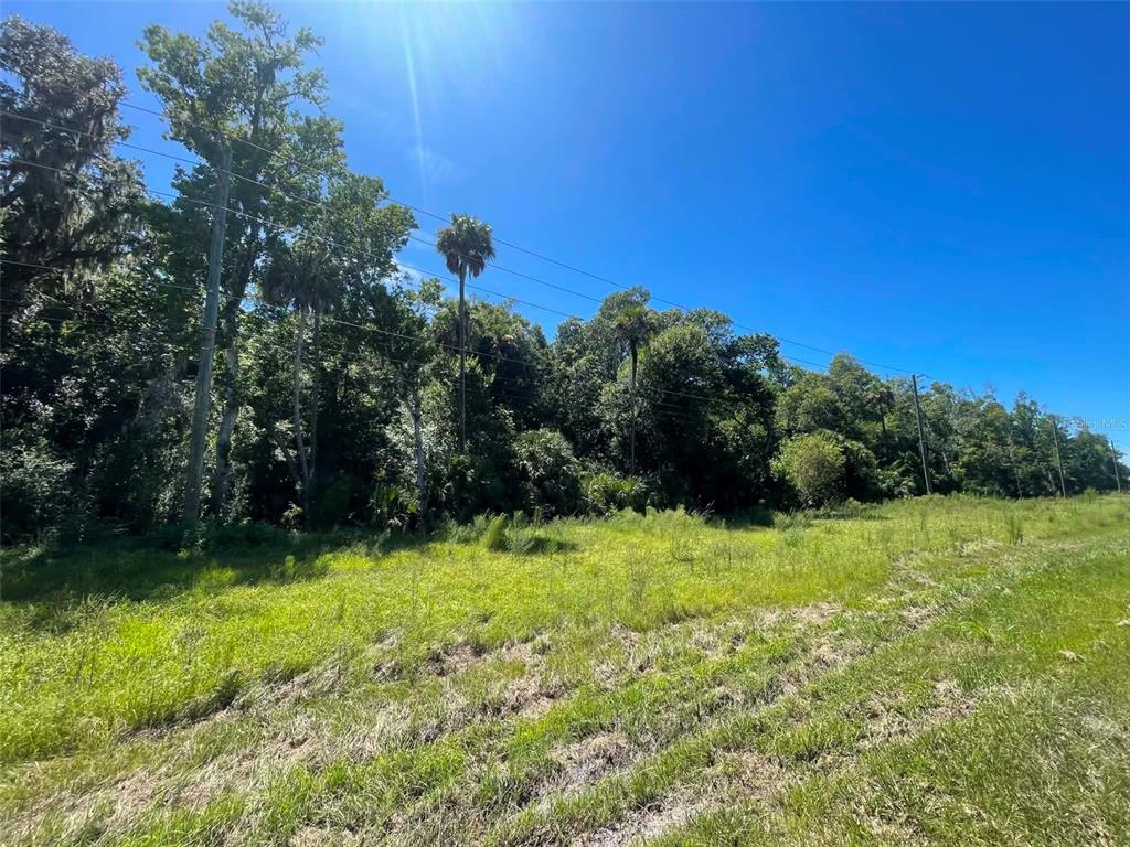 A grassy, undeveloped lot features a dense line of trees and power lines under a sky — OLD MISSION ROAD, NEW SMYRNA BEACH, FL