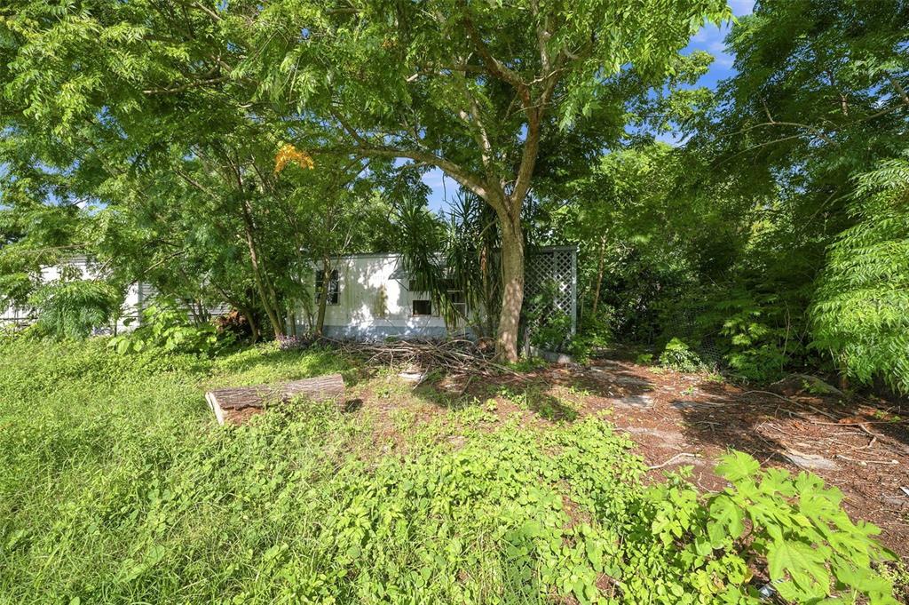 A weathered mobile home is partially obscured by dense trees and overgrown vegetation — 13129 CLERMONT STREET, HUDSON, FL