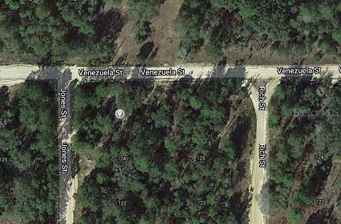 This is an aerial map showing a wooded lot located at the intersection of three streets — 00 JONES STREET, INTERLACHEN, FL