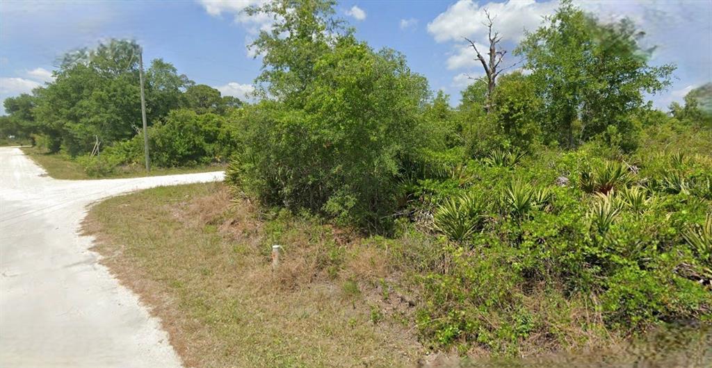 A dirt road curves past a vacant, wooded lot with dense vegetation and palmettos — 383 CAROLE ROAD NW, LAKE PLACID, FL