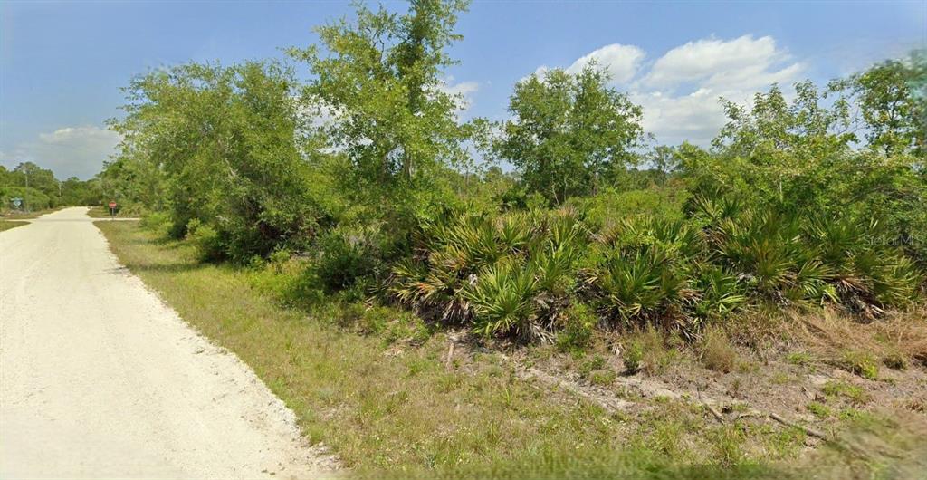 A dirt road runs alongside a vacant, wooded lot filled with palmettos and trees — 383 CAROLE ROAD NW, LAKE PLACID, FL