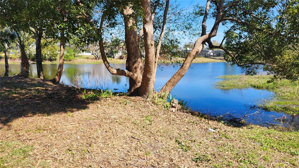 A view of a calm pond framed by large trees on a grassy bank — 8531 PORT SAID STREET, ORLANDO, FL