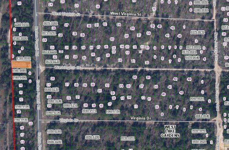 467 BADEN POWELL ROAD, HAWTHORNE, FL — photo 3 of 3