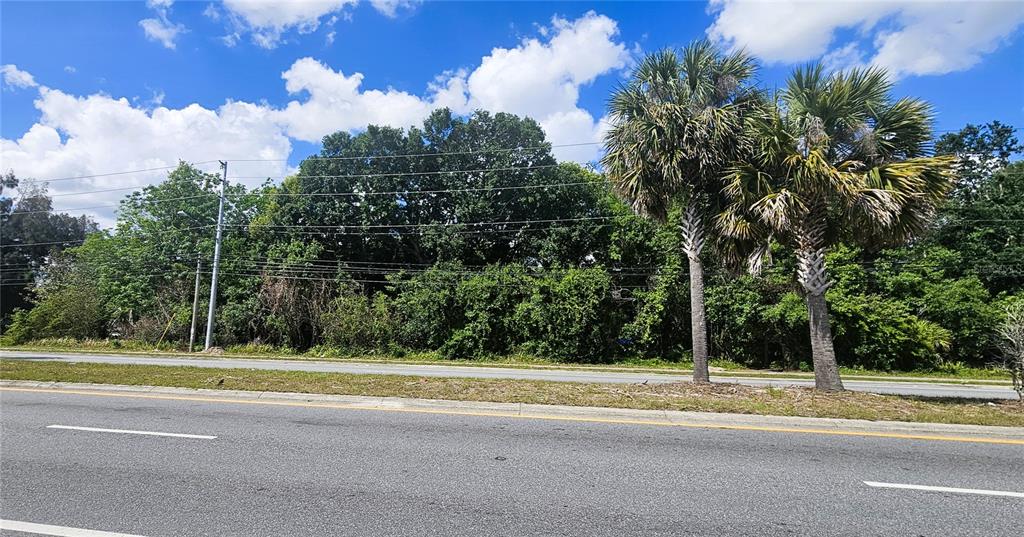 A view of a vacant, wooded lot situated alongside a paved road with power lines — 2516 S GOLDENROD ROAD, ORLANDO, FL