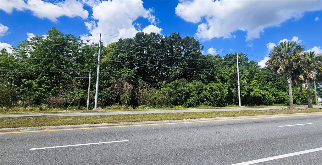 A paved road runs in front of a dense, wooded lot under a cloudy sky — 2516 S GOLDENROD ROAD, ORLANDO, FL
