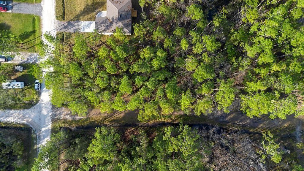 An aerial view shows a wooded lot with a house and a dirt road — EAST PARKWAY, DELAND, FL