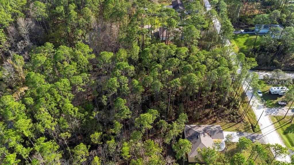 An aerial view shows a wooded lot adjacent to a residential street and nearby houses — EAST PARKWAY, DELAND, FL