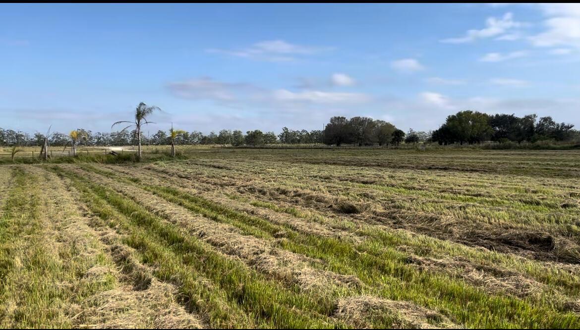 A wide, flat, mowed grassy field under a blue sky with scattered clouds — 1503 S Header Canal Road, Fort Pierce FL 34945, FORT PIERCE, FL
