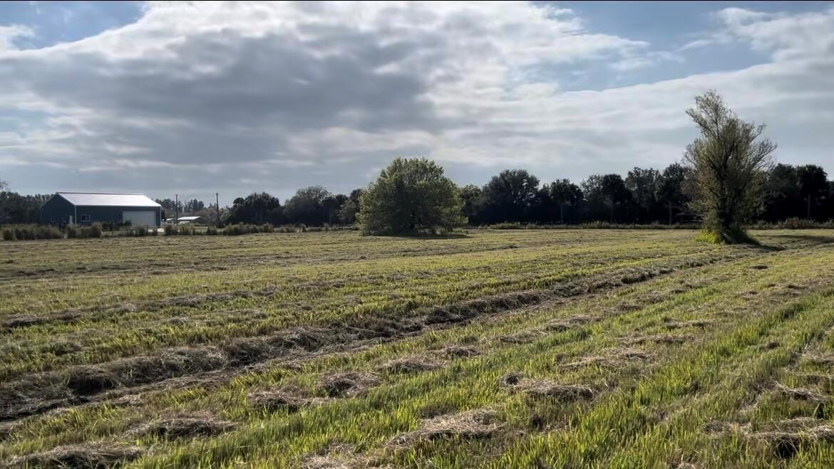 A large, mowed grassy field features two prominent trees and a metal barn in the distance — 1503 S Header Canal Road, Fort Pierce FL 34945, FORT PIERCE, FL