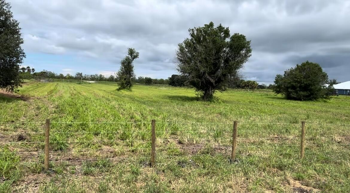 A wire fence borders a large, grassy field with scattered trees under a cloudy sky — 1503 S Header Canal Road, Fort Pierce FL 34945, FORT PIERCE, FL