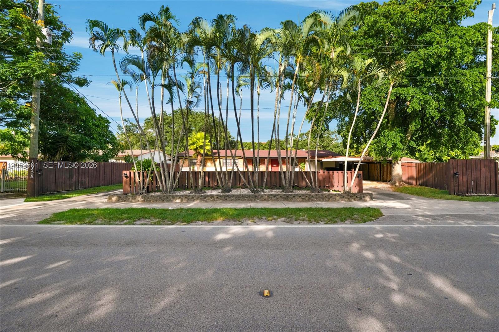 A single-story house is partially obscured by a row of tall palm trees behind fencing — 15425 N Miami Ave, Miami FL 33169, MIAMI, FL