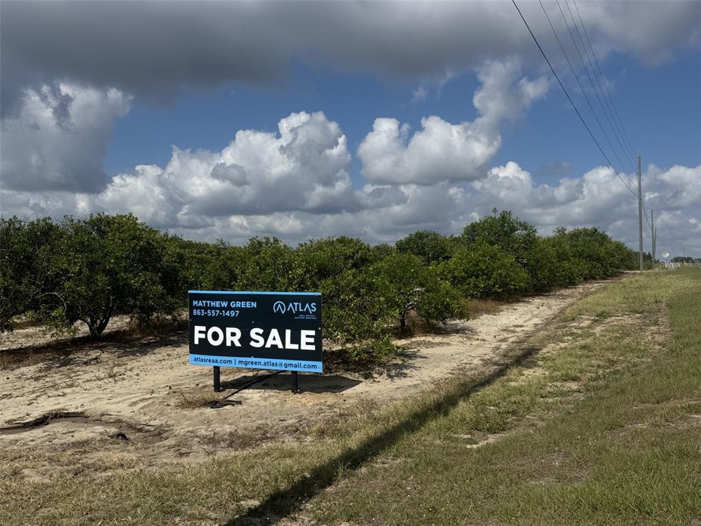 A for sale sign stands in a sandy field next to a row of citrus trees — CROOKED LAKE DRIVE N, BABSON PARK, FL